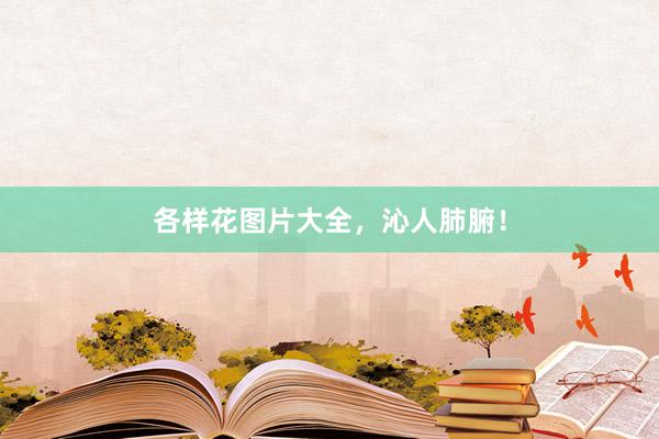 各样花图片大全，沁人肺腑！